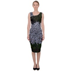 Queen Annes Lace Original Sleeveless Pencil Dress by okhismakingart