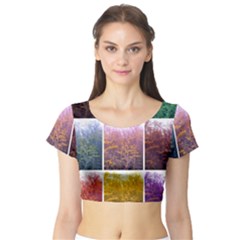 Goldenrod Collage Short Sleeve Crop Top by okhismakingart