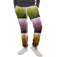 Goldenrod Collage Men s Jogger Sweatpants