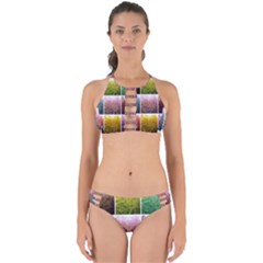 Goldenrod Collage Perfectly Cut Out Bikini Set by okhismakingart