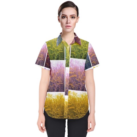 Goldenrod Collage Women s Short Sleeve Shirt by okhismakingart