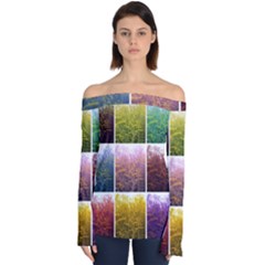 Goldenrod Collage Off Shoulder Long Sleeve Top by okhismakingart