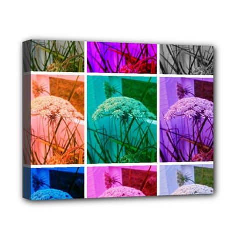 Color Block Queen Annes Lace Collage Canvas 10  X 8  (stretched) by okhismakingart