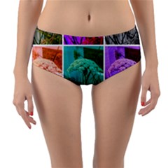 Color Block Queen Annes Lace Collage Reversible Mid-waist Bikini Bottoms by okhismakingart