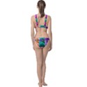 Color Block Queen Annes Lace Collage Classic Banded Bikini Set  View2