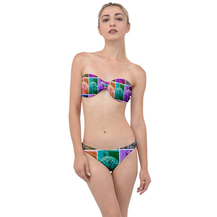 Color Block Queen Annes Lace Collage Classic Bandeau Bikini Set