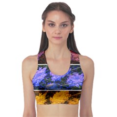 Primary Color Queen Anne s Lace Sports Bra by okhismakingart