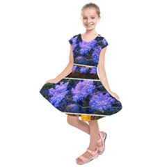 Primary Color Queen Anne s Lace Kids  Short Sleeve Dress by okhismakingart