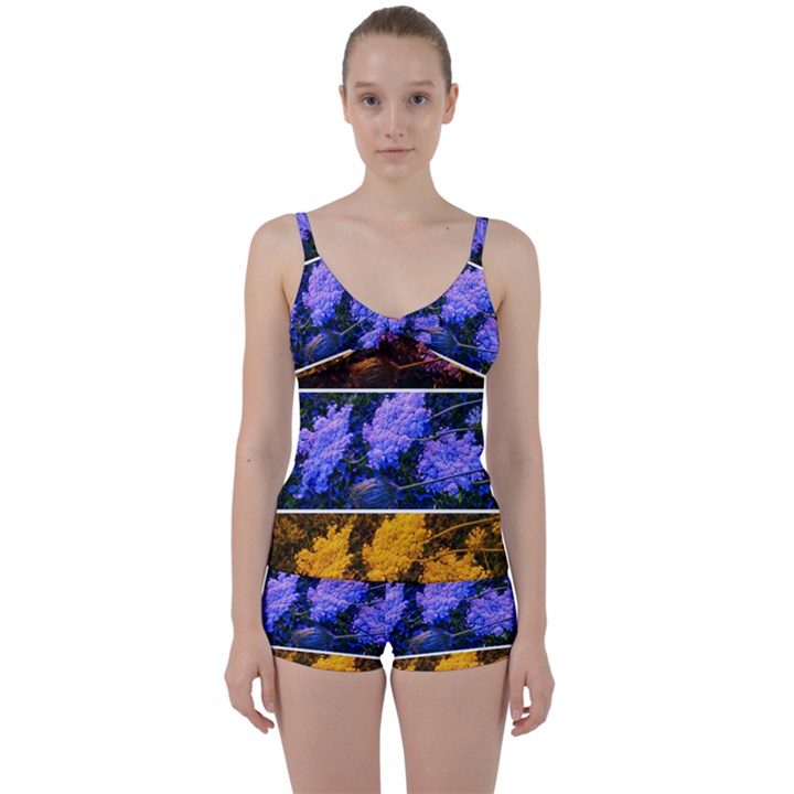 Primary Color Queen Anne s Lace Tie Front Two Piece Tankini