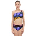 Primary Color Queen Anne s Lace Spliced Up Two Piece Swimsuit View1