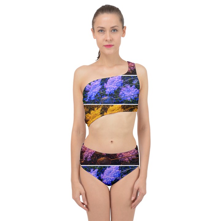 Primary Color Queen Anne s Lace Spliced Up Two Piece Swimsuit