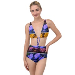 Primary Color Queen Anne s Lace Tied Up Two Piece Swimsuit by okhismakingart