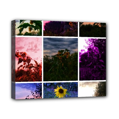 Sunflower Collage Canvas 10  X 8  (stretched) by okhismakingart