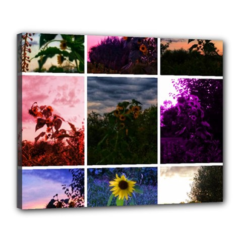 Sunflower Collage Canvas 20  X 16  (stretched) by okhismakingart