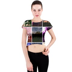 Sunflower Collage Crew Neck Crop Top by okhismakingart