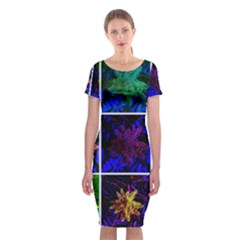 Sumac Collage Classic Short Sleeve Midi Dress by okhismakingart