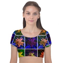 Sumac Collage Velvet Short Sleeve Crop Top 