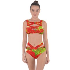 Red Roses Bandaged Up Bikini Set  by okhismakingart