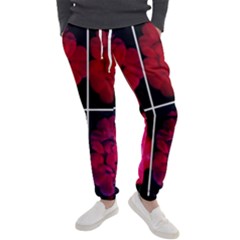 Geranium Collage Men s Jogger Sweatpants