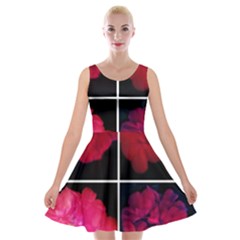 Geranium Collage Velvet Skater Dress by okhismakingart