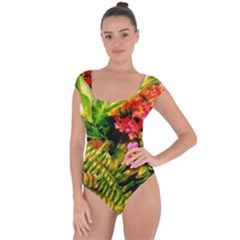 Fern Jungle Short Sleeve Leotard  by okhismakingart