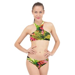 Fern Jungle High Neck Bikini Set by okhismakingart