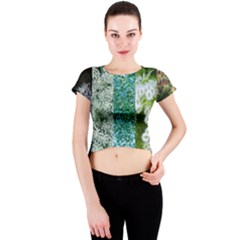 Queen Annes Lace Vertical Slice Collage Crew Neck Crop Top by okhismakingart