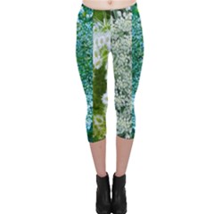 Queen Annes Lace Vertical Slice Collage Capri Leggings  by okhismakingart