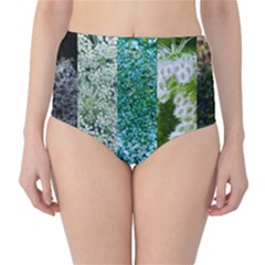 Queen Annes Lace Vertical Slice Collage Classic High-waist Bikini Bottoms by okhismakingart