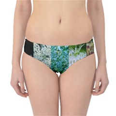 Queen Annes Lace Vertical Slice Collage Hipster Bikini Bottoms by okhismakingart