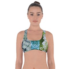 Queen Annes Lace Vertical Slice Collage Got No Strings Sports Bra by okhismakingart