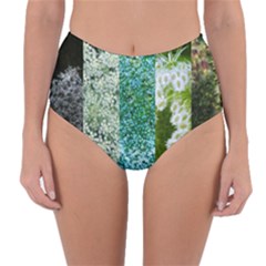 Queen Annes Lace Vertical Slice Collage Reversible High-waist Bikini Bottoms by okhismakingart