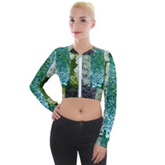 Queen Annes Lace Vertical Slice Collage Long Sleeve Cropped Velvet Jacket by okhismakingart