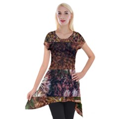 Queen Annes Lace Horizontal Slice Collage Short Sleeve Side Drop Tunic by okhismakingart