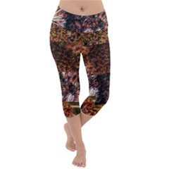 Queen Annes Lace Horizontal Slice Collage Lightweight Velour Capri Yoga Leggings by okhismakingart