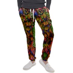 Fall Ivy Men s Jogger Sweatpants