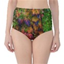 Fall Ivy Classic High-Waist Bikini Bottoms View1