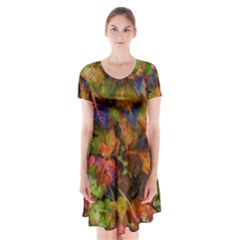 Fall Ivy Short Sleeve V-neck Flare Dress by okhismakingart