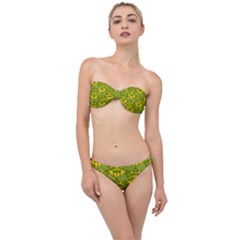 Texture Plant Herbs Green Classic Bandeau Bikini Set by Mariart