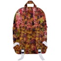 Red and Yellow Ivy Classic Backpack View3