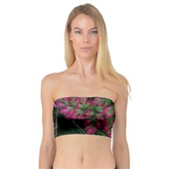 Pink-fringed Leaves Bandeau Top by okhismakingart