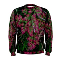 Pink-fringed Leaves Men s Sweatshirt by okhismakingart