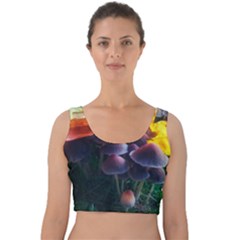 Mushrooms Velvet Crop Top by okhismakingart