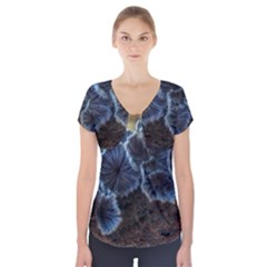 Tree Fungus Short Sleeve Front Detail Top by okhismakingart