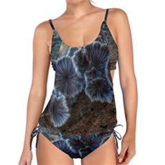 Tree Fungus Tankini Set by okhismakingart