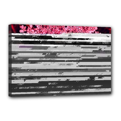 Static Wall Queen Anne s Lace Canvas 18  X 12  (stretched) by okhismakingart