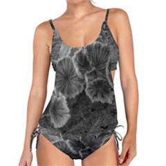 Tree Fungus Black And White Tankini Set by okhismakingart