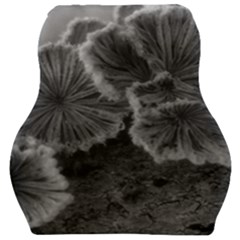 Tree Fungus Black And White Car Seat Velour Cushion  by okhismakingart