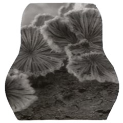 Tree Fungus Black And White Car Seat Back Cushion  by okhismakingart