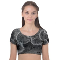 Tree Fungus Black And White Velvet Short Sleeve Crop Top  by okhismakingart